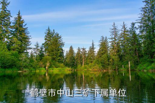  鶴壁市中山三礦下屬單位