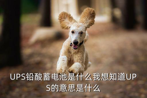 UPS鉛酸蓄電池是什么我想知道UPS的意思是什么