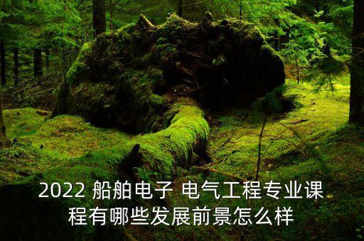 2022 船舶電子 電氣工程專業(yè)課程有哪些發(fā)展前景怎么樣