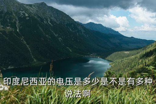 印度尼西亞的電壓是多少是不是有多種說法啊