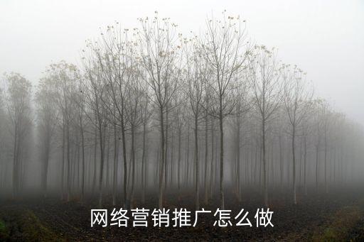 網(wǎng)絡(luò)營銷推廣怎么做