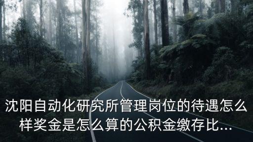 沈陽(yáng)自動(dòng)化研究所管理崗位的待遇怎么樣獎(jiǎng)金是怎么算的公積金繳存比...
