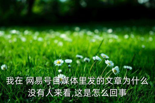 我在 網(wǎng)易號自媒體里發(fā)的文章為什么沒有人來看,這是怎么回事
