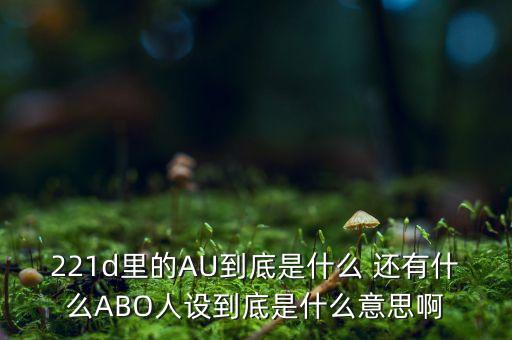 221d里的AU到底是什么 還有什么ABO人設(shè)到底是什么意思啊