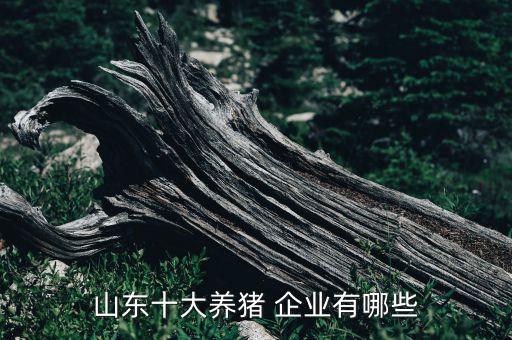 山東十大養(yǎng)豬 企業(yè)有哪些