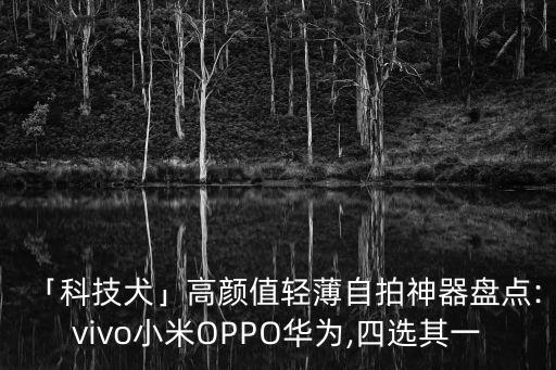 「科技犬」高顏值輕薄自拍神器盤(pán)點(diǎn):vivo小米OPPO華為,四選其一