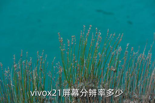 vivox21屏幕分辨率多少