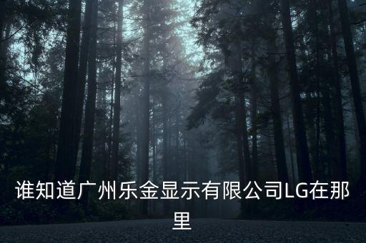 誰知道廣州樂金顯示有限公司LG在那里