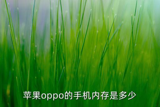 iphone內(nèi)存，蘋果最大內(nèi)存是多少