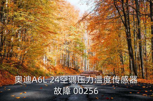 奧迪A6L 24空調壓力溫度傳感器故障 00256