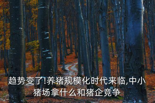 趨勢變了!養(yǎng)豬規(guī)?；瘯r(shí)代來臨,中小豬場拿什么和豬企競爭