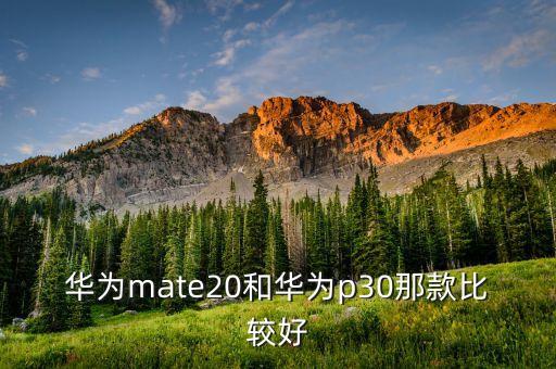 華為mate20和華為p30那款比較好