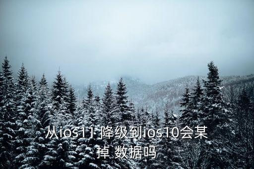 蘋果降級數(shù)據(jù)會丟失嗎,蘋果手機(jī)系統(tǒng)降級了數(shù)據(jù)還在嗎