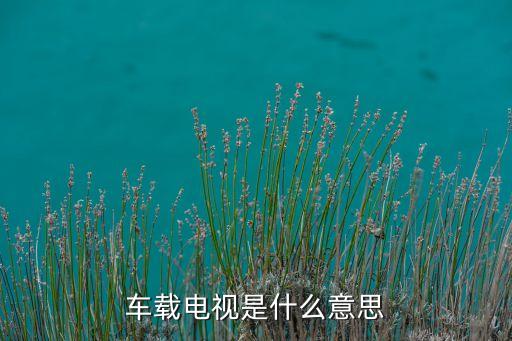 車載電視是什么意思