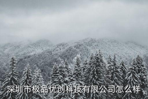 深圳市極品優(yōu)創(chuàng)科技有限公司怎么樣