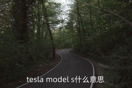 特斯拉2，特斯拉價位在多少