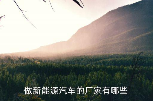 新能源企業(yè)，做新能源汽車的廠家有哪些
