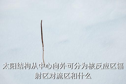 太陽結構從中心向外可分為核反應區(qū)輻射區(qū)對流區(qū)和什么