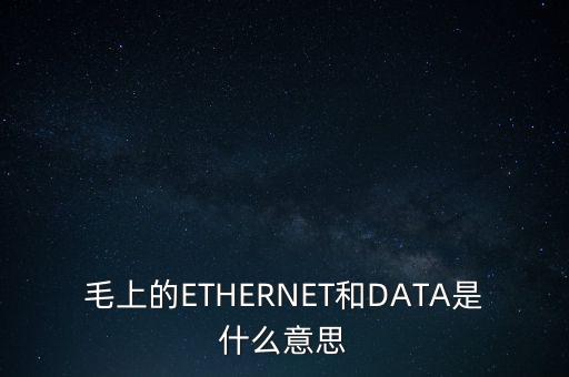 毛上的ETHERNET和DATA是什么意思