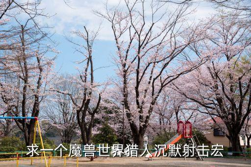 求一個(gè)魔獸世界獵人沉默射擊宏