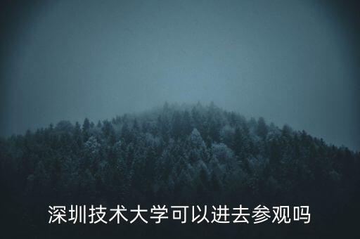 深圳技術大學可以進去參觀嗎