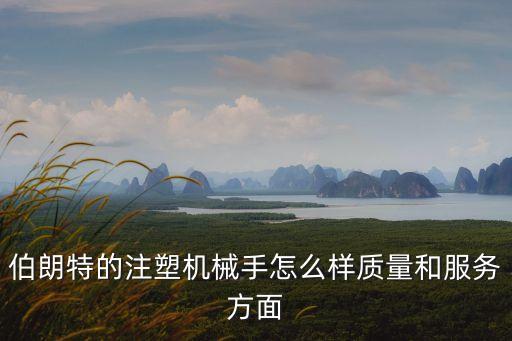 伯朗特的注塑機(jī)械手怎么樣質(zhì)量和服務(wù)方面