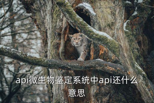 微生物檢測(cè)系統(tǒng)，哪家微生物檢測(cè)儀器比較好