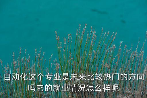 自動化這個專業(yè)是未來比較熱門的方向嗎它的就業(yè)情況怎么樣呢