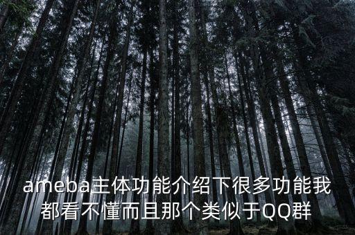 ameba主體功能介紹下很多功能我都看不懂而且那個類似于QQ群