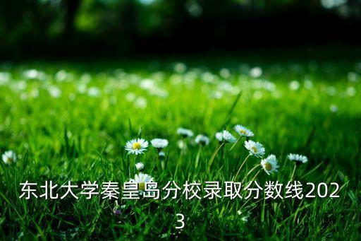 東北大學(xué)秦皇島分校錄取分?jǐn)?shù)線2023