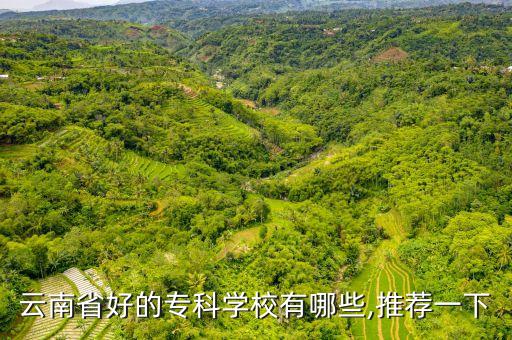 云南省好的?？茖W(xué)校有哪些,推薦一下