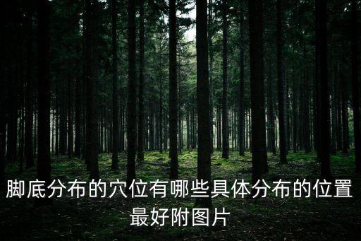 足底穴位圖，腳底分布的穴位有哪些具體分布的位置最好附圖片