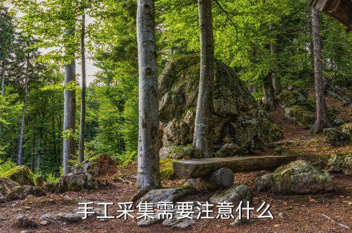 手工采集需要注意什么