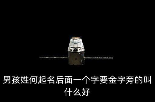男孩姓何起名后面一個字要金字旁的叫什么好