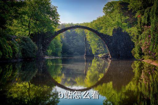 b站怎么看