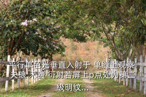 平行單色光垂直入射于 單縫上觀察 夫瑯 禾費(fèi) 衍射若屏上p點(diǎn)處為第二級明紋...