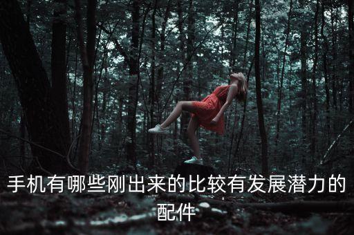 手機(jī)配件有哪些，手機(jī)主板上有哪些芯片