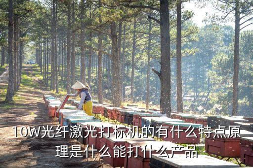 10W光纖激光打標(biāo)機(jī)的有什么特點(diǎn)原理是什么能打什么產(chǎn)品
