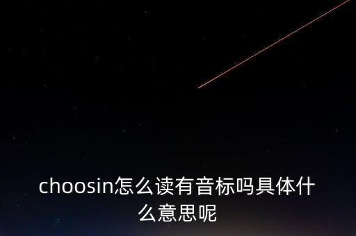 choosin怎么讀有音標嗎具體什么意思呢