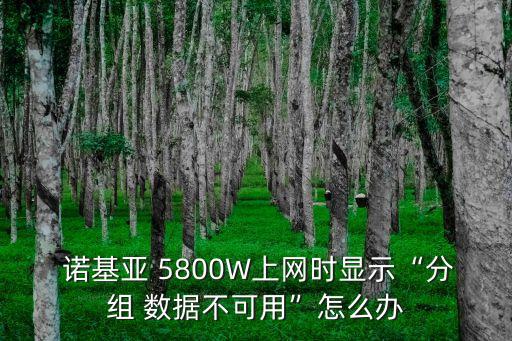 諾基亞5800怎么開數(shù)據(jù)