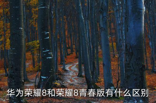 榮耀8青春版，華為榮耀8和榮耀8青春版有什么區(qū)別