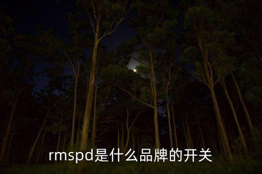 rmspd是什么品牌的開關(guān)