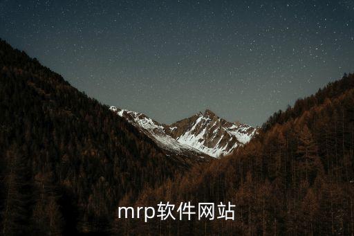 mrp軟件網(wǎng)站