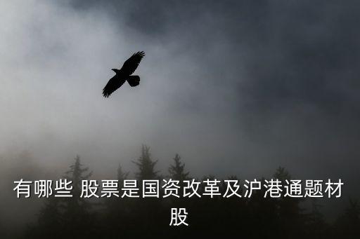 有哪些 股票是國資改革及滬港通題材股