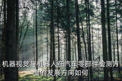 機(jī)器視覺(jué)與機(jī)器人在汽車零部件檢測(cè)方面的發(fā)展方向如何