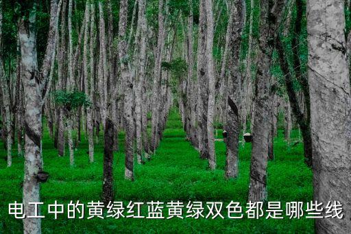 黃綠線，黃綠線屬于電源線嗎