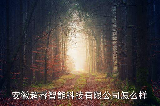 安徽超睿智能科技有限公司怎么樣