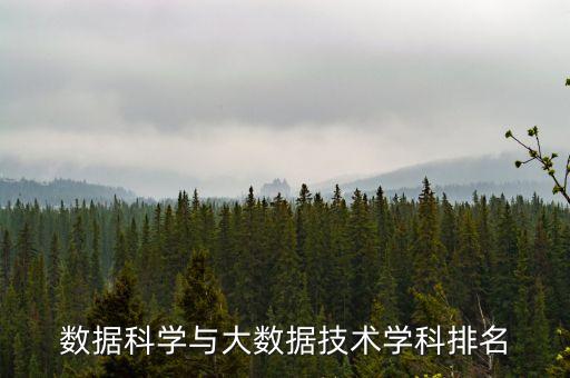 數(shù)據(jù)科學(xué)與大數(shù)據(jù)技術(shù)學(xué)科排名
