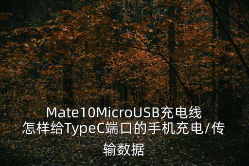 Mate10MicroUSB充電線怎樣給TypeC端口的手機充電/傳輸數(shù)據(jù)