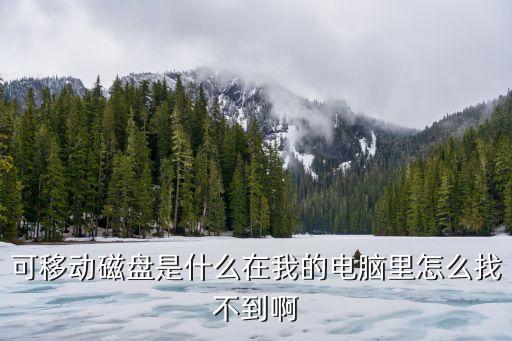 可移動(dòng)磁盤是什么在我的電腦里怎么找不到啊